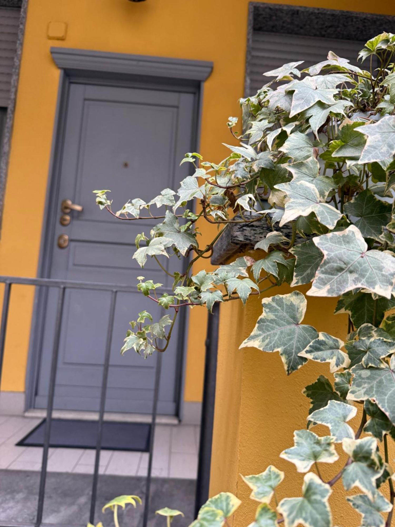 Gionas - Casa Indipendente In Zona Strategica Milão Exterior foto